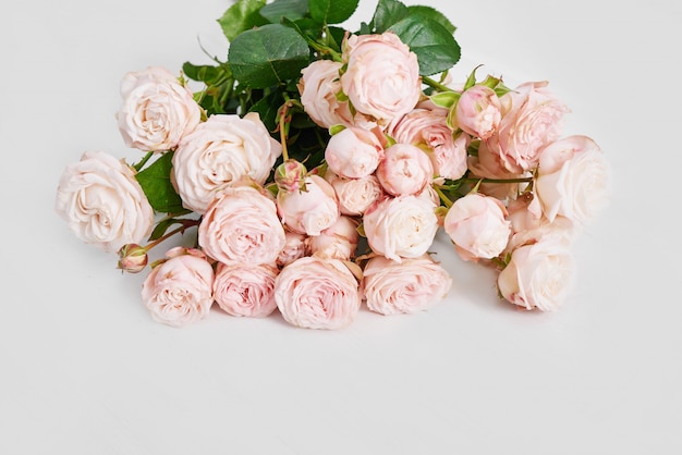 Mother's Day  Pink roses on white wall