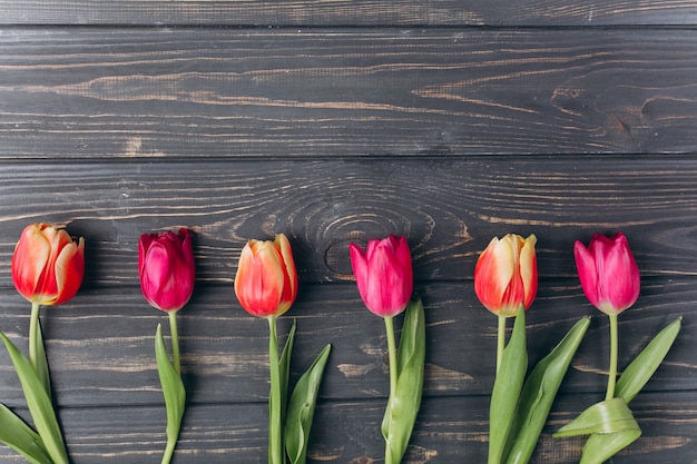 Foto festa della mamma. il giorno di san valentino. tulipani rosa con lo spazio della copia.