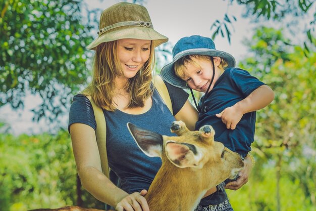 Mother and son feeding beautiful deer from hands in a tropical Zoo