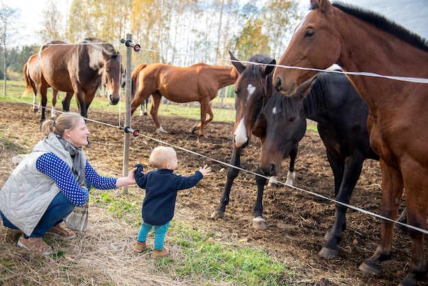 Mother and son looking at horses in ranch