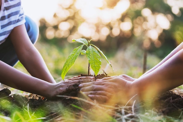地球を救うために自然の中で植樹を手伝っている子供を持つ母親。環境エココンセプト