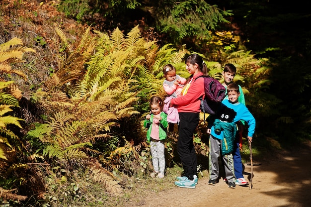 Madre con quattro bambini nella foresta di montagne vicino alla felce. viaggi in famiglia ed escursioni con bambini.