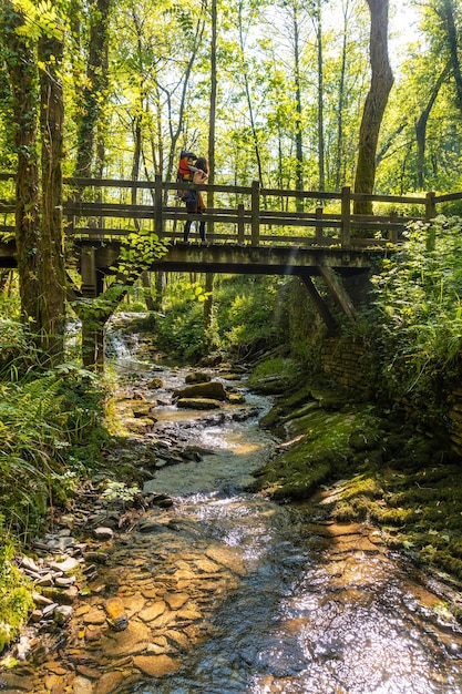 Aia Guipuzcoa Basque Country의 Pagoeta 공원에서 나무 다리를 건너는 배낭에 아들을 안고 있는 어머니