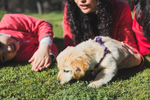 Mother with her two daughters, playing with a golden retriever puppy in the park. Female family