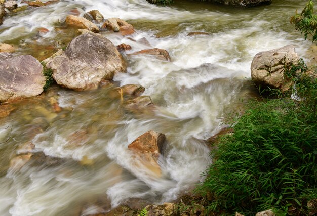 Foto moto di acqua da cascata sulla stagione delle piogge