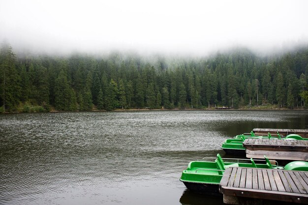 Motion of water of Mummelsee lake while raining in Black Forest or Schwarzwald at Badenwurttemberg of Stuttgart Germany