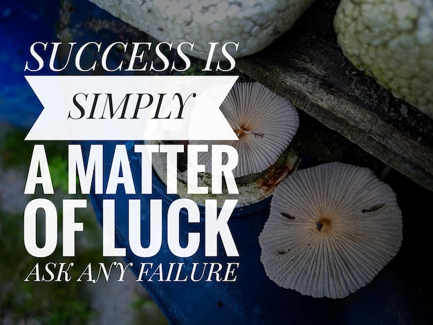 Motiverende citaten Succes is gewoon een kwestie van geluk, vraag elke mislukking
