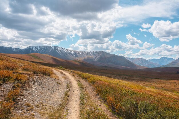 Motley autumn landscape with hiking trail on sunlit high plateau toward snowy mountain range under cloudy sky Vivid autumn colors in mountains Sunlight and shadows of clouds in changeable weather