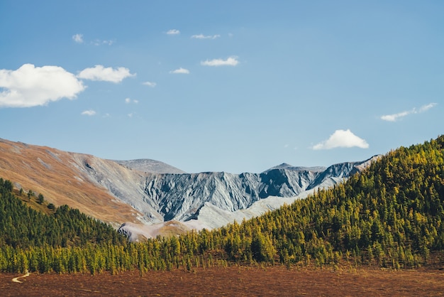 Motley autumn landscape with yellow larches on hills and beautiful rocky mountains in sunlight under clouds in blue sky. Multicolor mountain scenery with unusual rocks in autumn colors in sunshine.