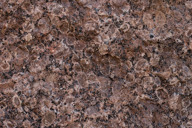 motley texture background of granite stone