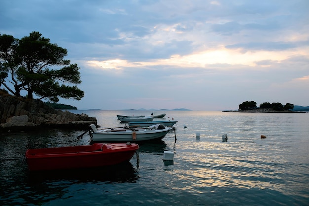 Motor boats at anchor