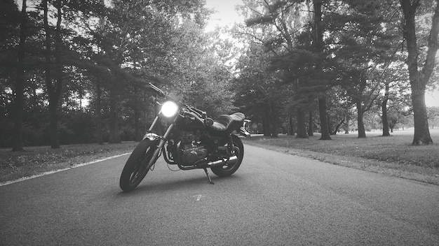 Photo motorbike on empty road along trees