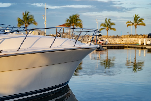 Motorboot aangemeerd in de tropische jachthaven met palmboom en blauwe luchtreis- en vakantieconcept