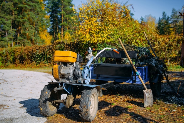 緑と黄色の葉で木に立っているオートバイの耕運機。秋は植物園の領土の改善に取り組んでいます。