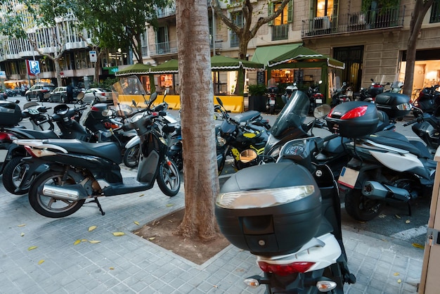 Motorcycles parked on road in city