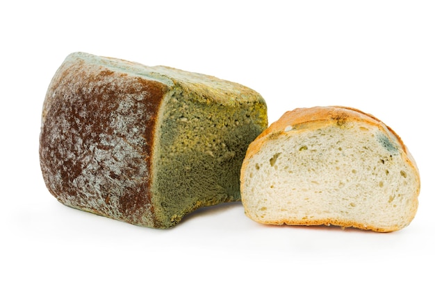 Mouldy bread on a white background Expired pastries