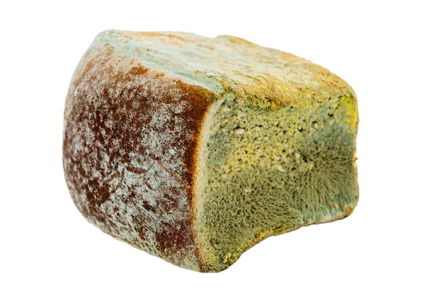 Mouldy bread on a white background. Expired pastries.