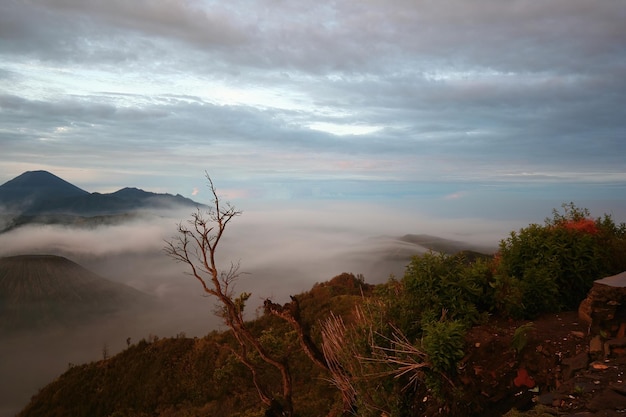 Mount Bromo in Indonesia