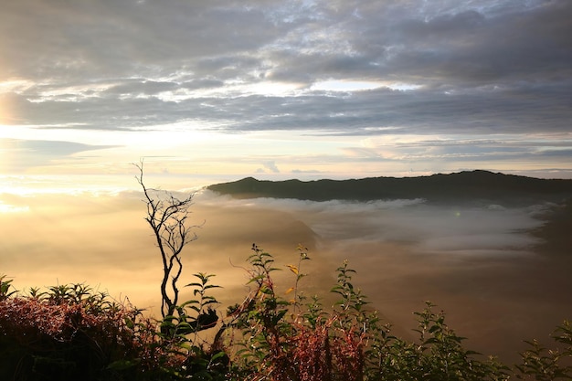 Mount Bromo in Indonesia