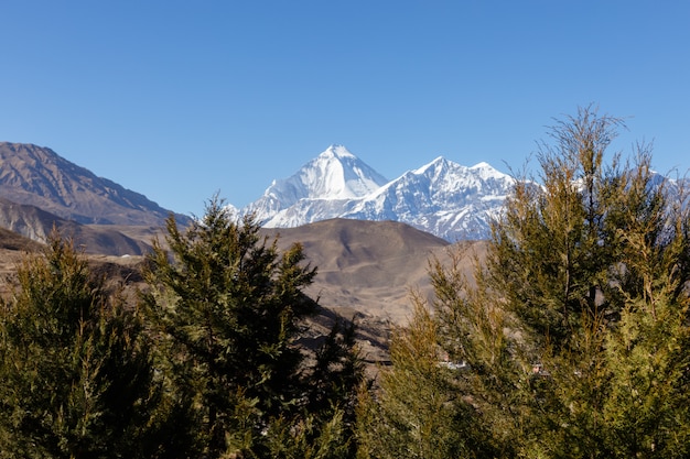 Mount Dhaulagiri en Tukuche Peak. Nepal