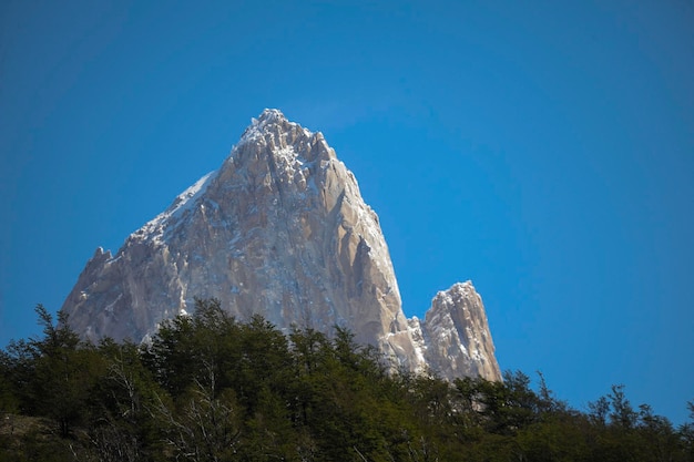 Mount Fitz Roy of cerro chalten in het ijsveld van Patagonië