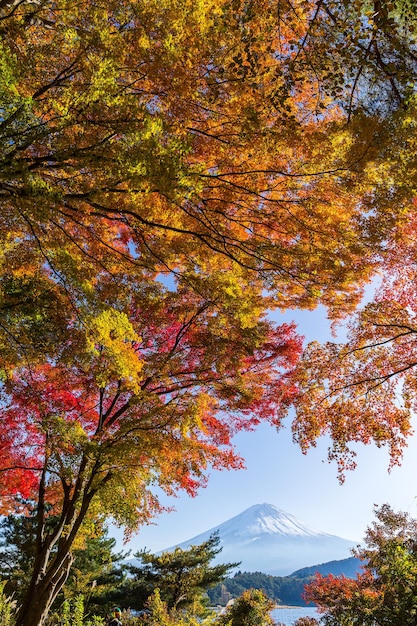 日本の秋の富士山