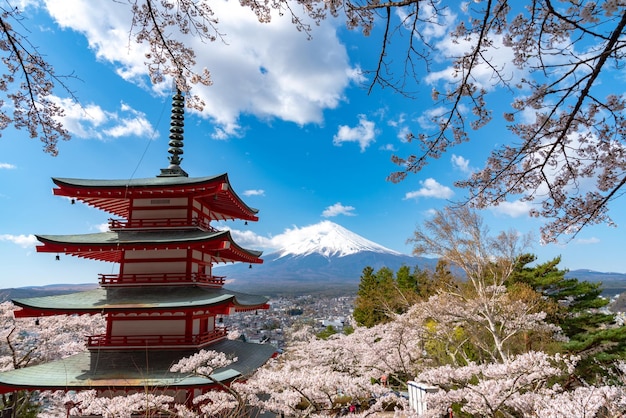 Il monte fuji chureito pagoda fiorisce in piena fioritura primaverile parco arakurayama sengen