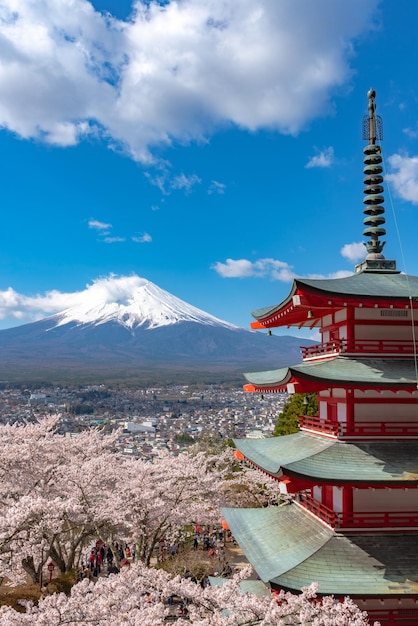 Mount Fuji Chureito Pagoda cherry blossoms in full bloom springtime Arakurayama Sengen Park