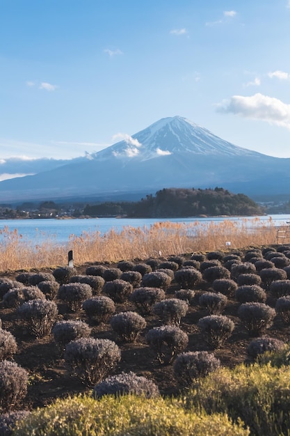 Mount Fuji from Kawaguchiko lake in Yamanashi Japan Lake view with Fuji mountain background