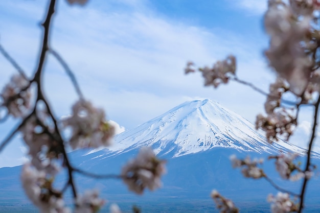 Mount Fuji met sneeuw bedekte