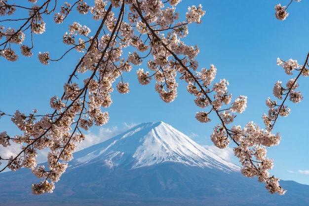 Mount Fuji Mt Fuji over blauwe lucht Kersenbloesems in volle bloei op het lentemeer Kawaguchiko