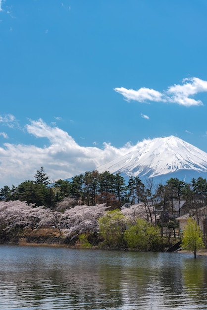 Mount fuji mt fuji over blauwe lucht op een zonnige dag lake kawaguchiko town fujikawaguchiko yamanashi pref