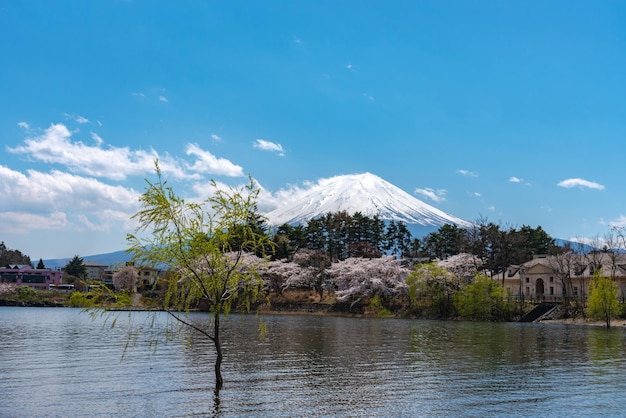 Mount Fuji Mt Fuji over blauwe lucht op een zonnige dag Lake Kawaguchiko Town Fujikawaguchiko Yamanashi Pref