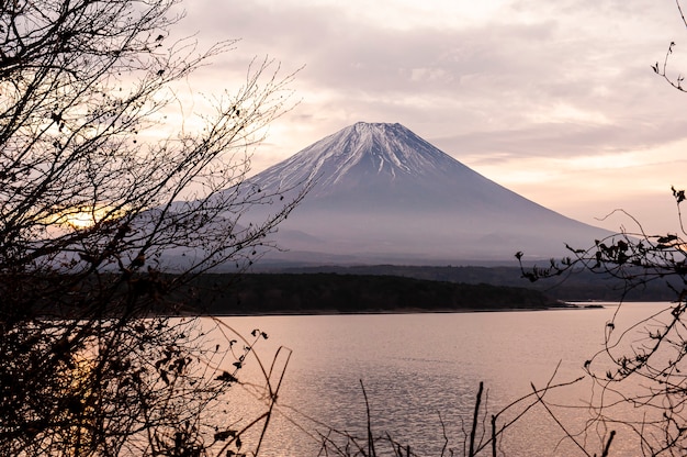 Фото Гора фудзи-сан на озере кавагутико в японии на рассвете.