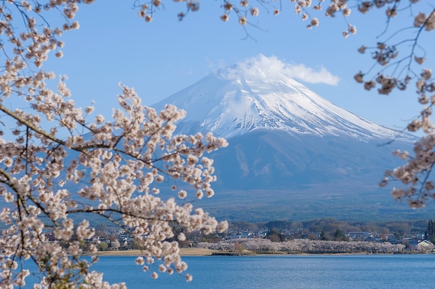 雪をかぶった富士山