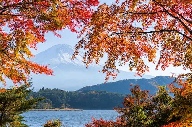 Mount Fuji