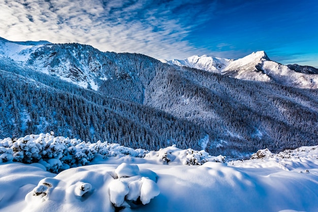 겨울의 Tatra 산맥의 Mount Giewont