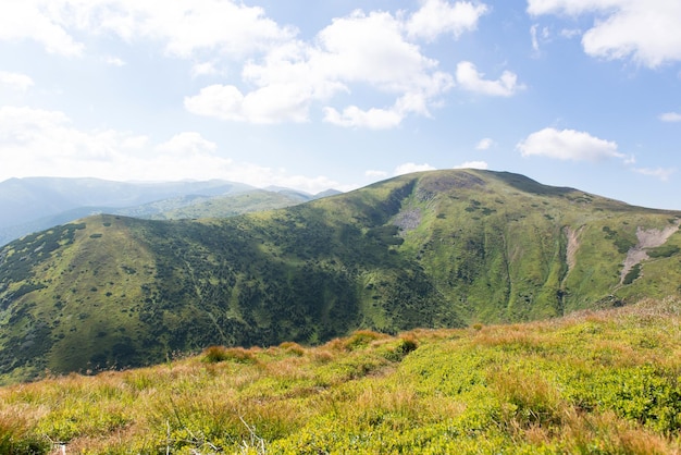 空と雲を背景にウクライナのカルパティア山脈の頂上をぶら下がっている山カルパティア山脈の夏の風景ウクライナ ウクライナのカルパティア山脈