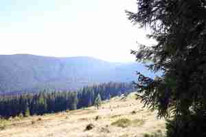 Photo mount hoverla hanging peak of the ukrainian carpathians against the background of the sky