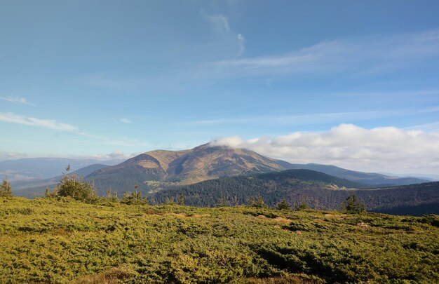 Mount hoverla hanging peak of the ukrainian carpathians against the background of the sky