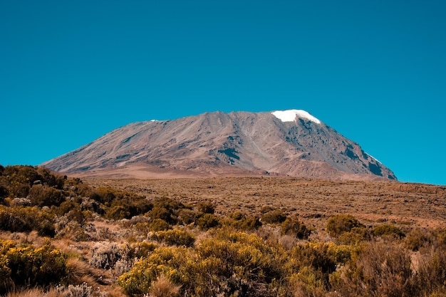 Foto il monte kilimanjaro moshi