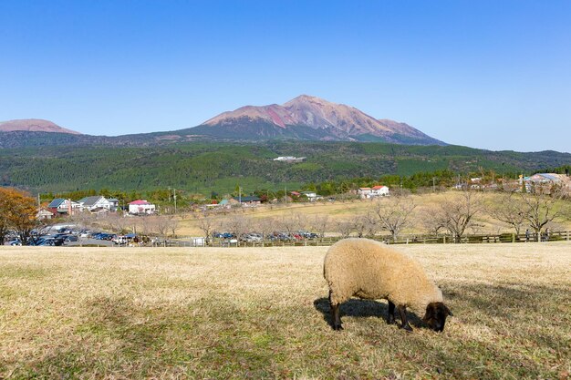 Mount Kirishima and farm