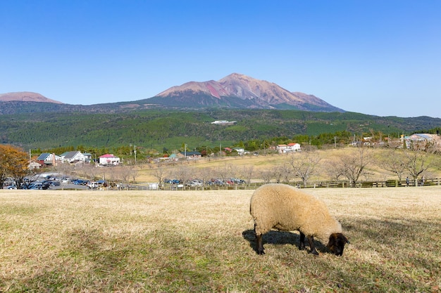 Mount Kirishima and farm