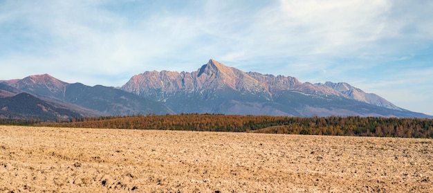 Mount Krivan peak (Slowaaks symbool) breed panorama met herfst droog veld op de voorgrond, typisch herfstlandschap van de regio Liptov, Slowakije