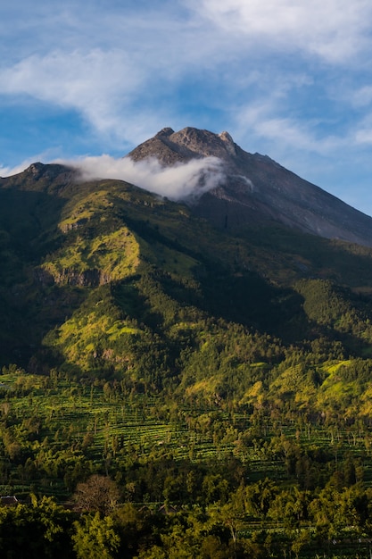 インドネシア、メラピ山火山の風景自然の眺め。