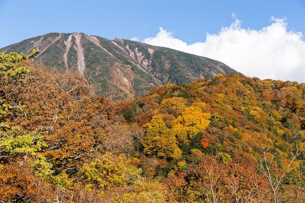 Mount Nantai en gouden herfst