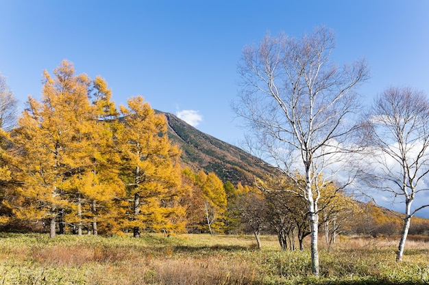 Mount Nantai in Nikko of Japan