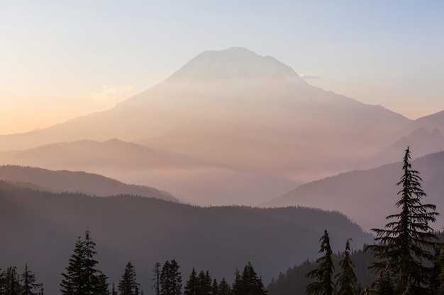 Mount Rainier nationaal park bij zonsopgang VS Washington