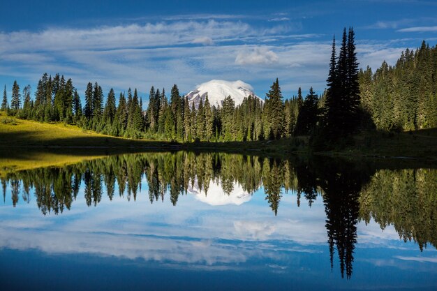 Mount Rainier nationaal park, Washington