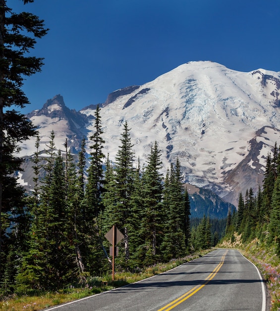 Mount Rainier nationaal park, Washington